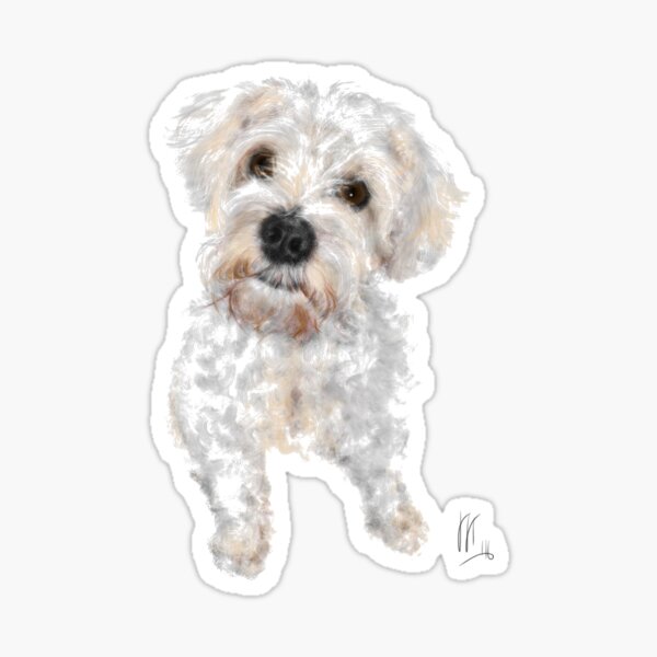 Sweet Bichon Frise Sticker