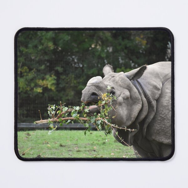Item preview, Greater one Horned Rhino Photograph designed and sold by megjayne-photos.