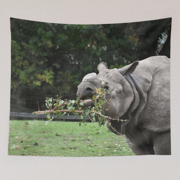 Item preview, Greater one Horned Rhino Photograph designed and sold by megjayne-photos.