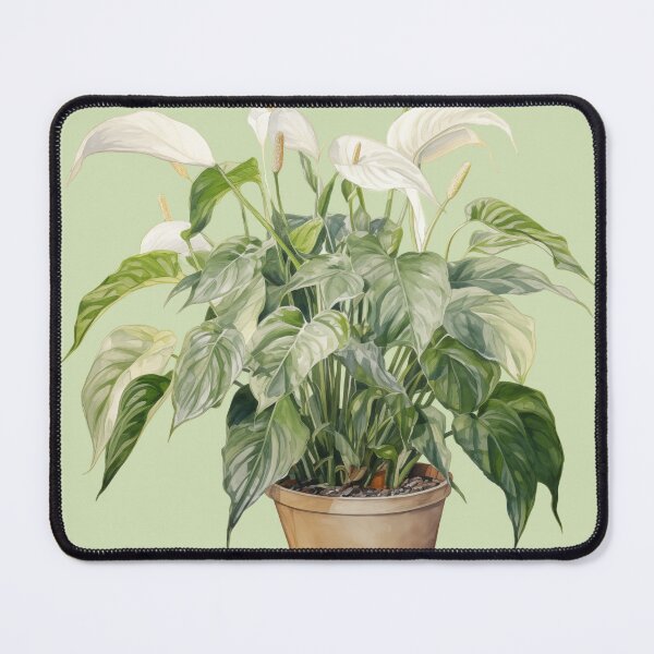 Item preview, Pland mom Spathiphyllum  designed and sold by Sp3ctrumOfColor.