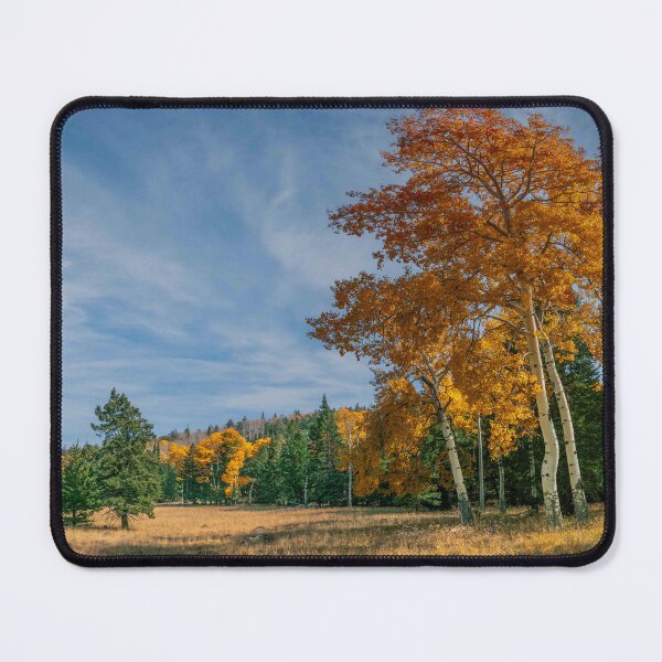 Item preview, Aspen Grove Along the Arizona Trail designed and sold by Jeff Goulden Photography.