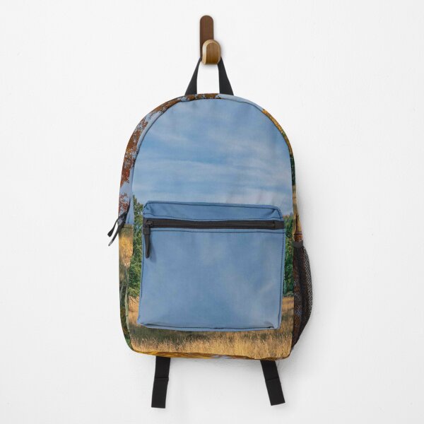 Item preview, Aspen Grove Along the Arizona Trail designed and sold by Jeff Goulden Photography.