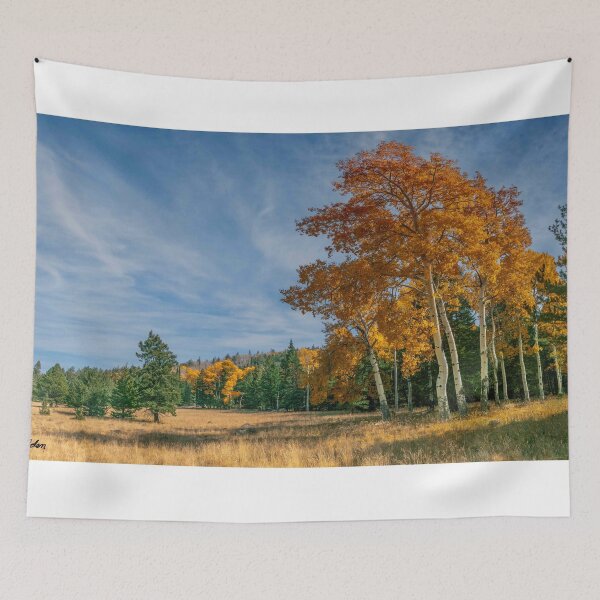 Item preview, Aspen Grove Along the Arizona Trail designed and sold by Jeff Goulden Photography.