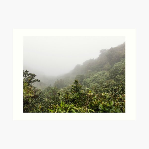 Mountain valley hidden by the clouds in the mist, Monteverde, Ecuador Art Print
