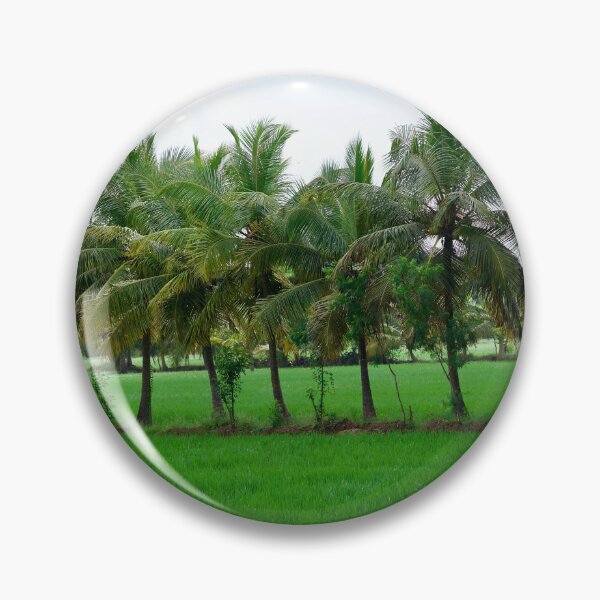 Item preview, Coconut trees in the paddy field designed and sold by GuruKde.