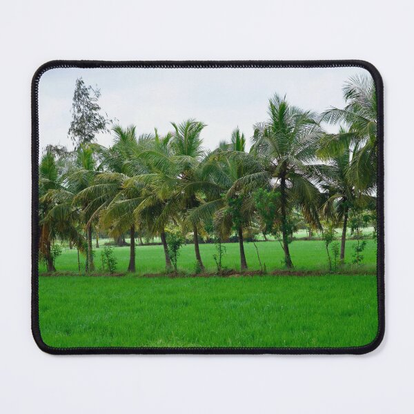 Item preview, Coconut trees in the paddy field designed and sold by GuruKde.