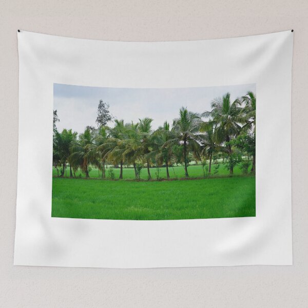 Item preview, Coconut trees in the paddy field designed and sold by GuruKde.