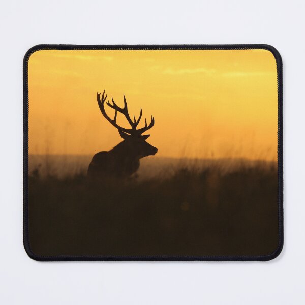 Item preview, The Pride Of Nature            designed and sold by francophotos.