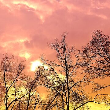 Artwork thumbnail, Golden Sky by Mallorn