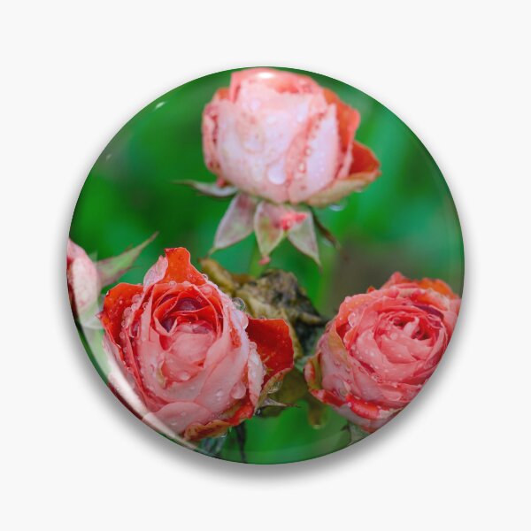Artikelvorschau, Rote Rosen mit Regentropfen entworfen und verkauft von GuruKde.