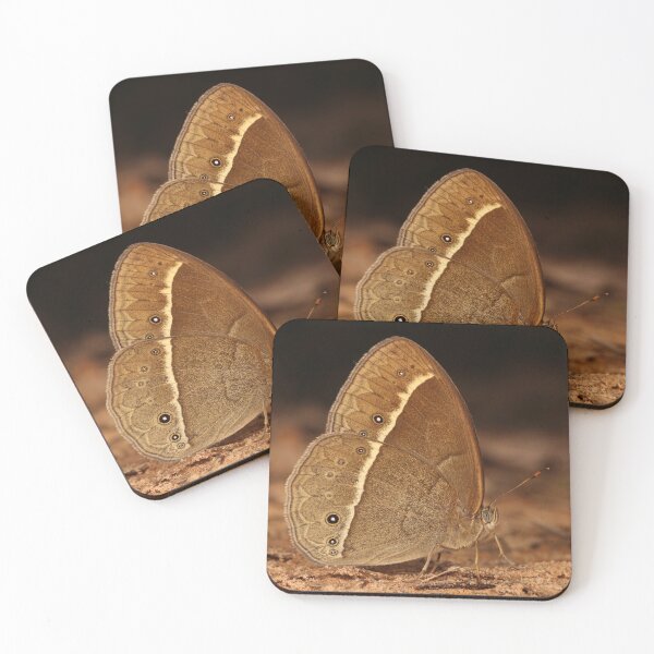 Item preview, Bushbrown Butterfly designed and sold by itchydogimages.