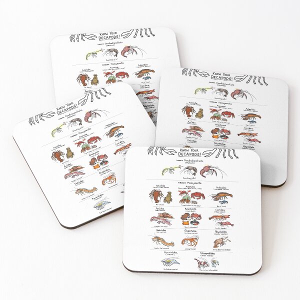 Item preview, Illustrated Guide to Decapod Crustaceans designed and sold by KetrinaDrawsALot.