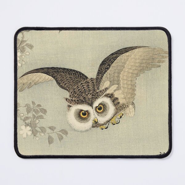 Item preview, HD. Cherry Blossoms and Owl, by Ohara Koson. HIGH DEFINITION designed and sold by MINDTHECHERRY.