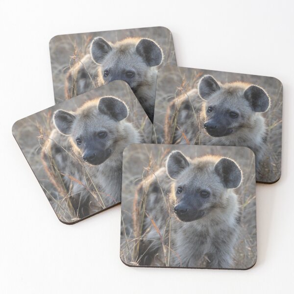 Item preview, Curious   designed and sold by TylerDan.