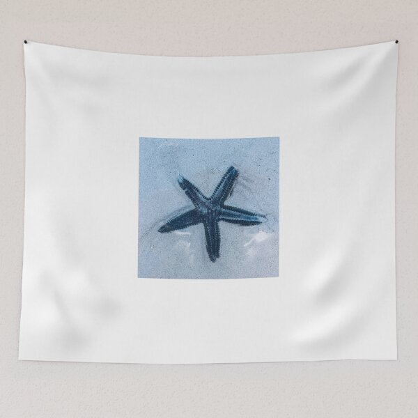 Item preview, Starfish in Holbox, Mexico designed and sold by ColorfulCoyote.