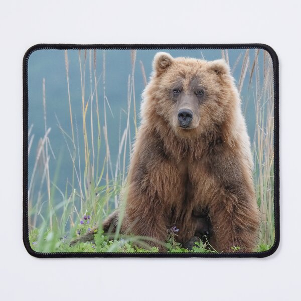 Item preview, Pretty Bear in Flowers designed and sold by Betty Sederquist.