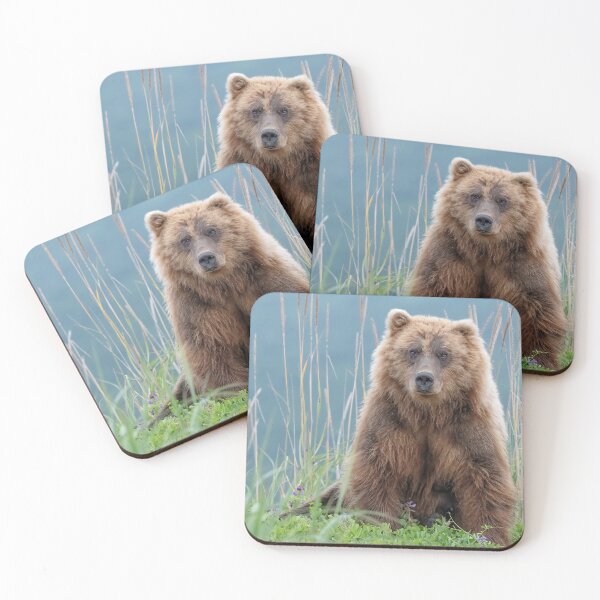 Item preview, Pretty Bear in Flowers designed and sold by Betty Sederquist.
