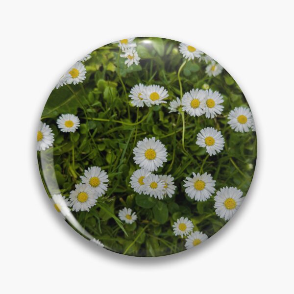 Item preview, Fresh as a Daisy in Ireland designed and sold by Betty Sederquist.