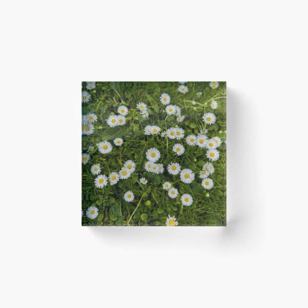 Item preview, Fresh as a Daisy in Ireland designed and sold by Betty Sederquist.