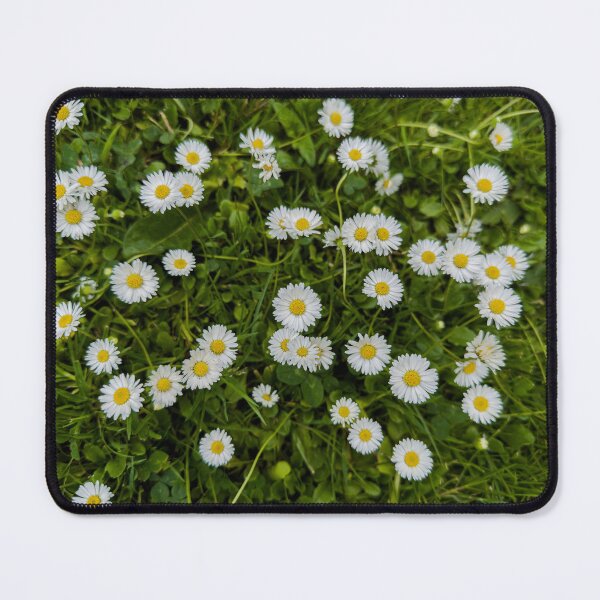 Item preview, Fresh as a Daisy in Ireland designed and sold by Betty Sederquist.