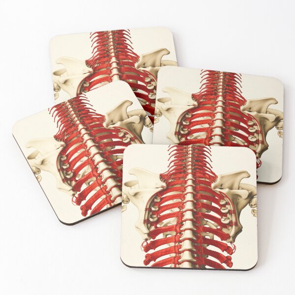 Item preview,  The Body - Ribcage designed and sold by theblueofmyeye.