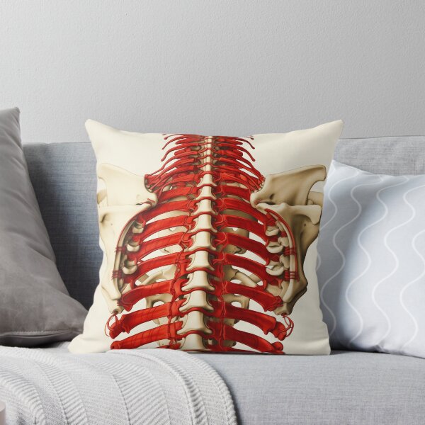 Item preview,  The Body - Ribcage designed and sold by theblueofmyeye.