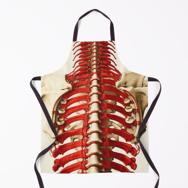 Item preview, The Body - Ribcage designed and sold by theblueofmyeye.