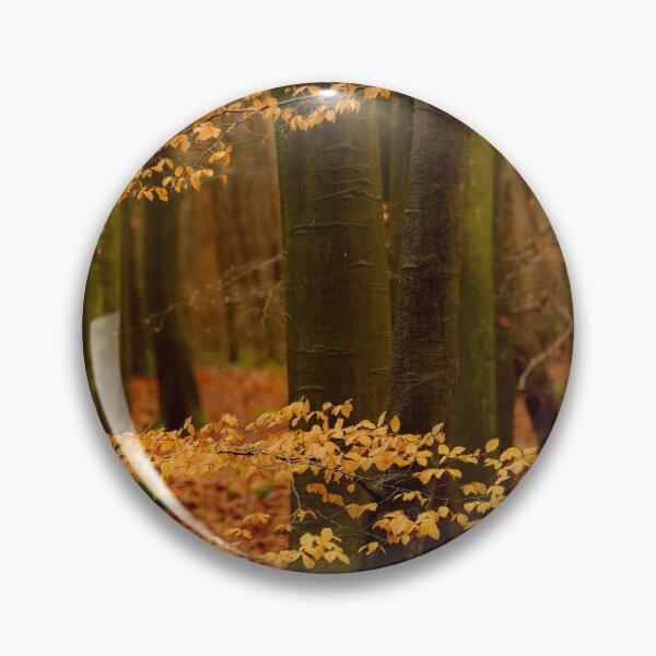 Item preview, Digital photograph of beech woodland in Autumn designed and sold by SimonJohnson1.