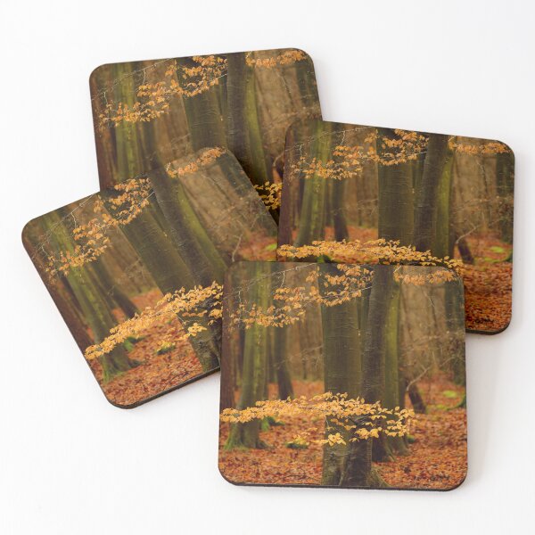 Item preview, Digital photograph of beech woodland in Autumn designed and sold by SimonJohnson1.