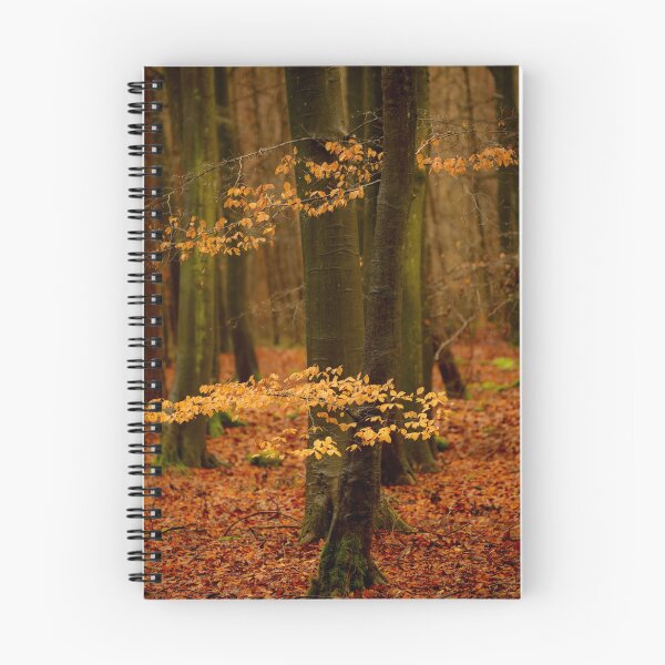 Item preview, Digital photograph of beech woodland in Autumn designed and sold by SimonJohnson1.