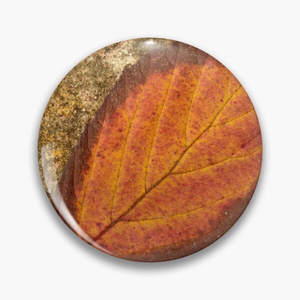 Item preview, Digital photograph of  Autumn leaf designed and sold by SimonJohnson1.