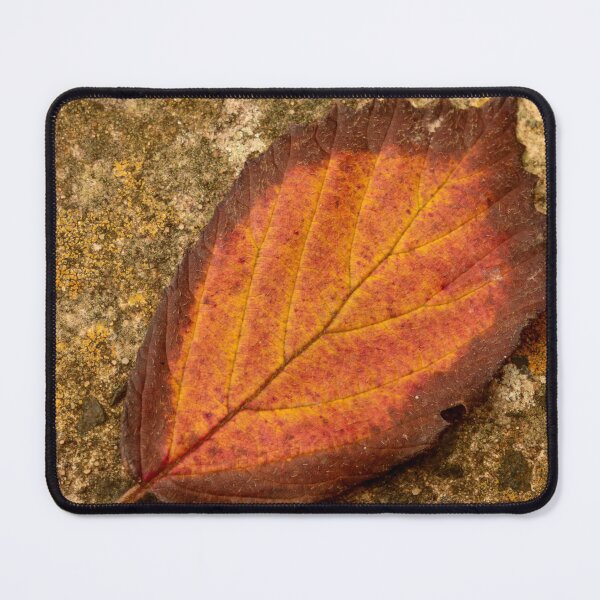 Item preview, Digital photograph of  Autumn leaf designed and sold by SimonJohnson1.