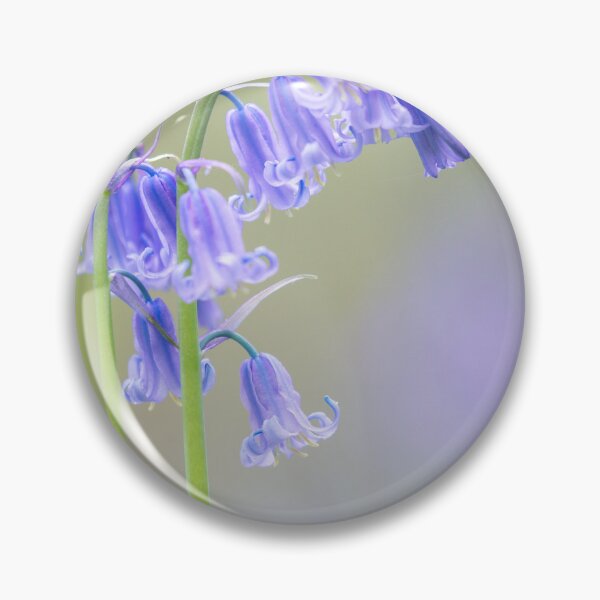 Item preview, Digital photograph of  bluebell flower designed and sold by SimonJohnson1.
