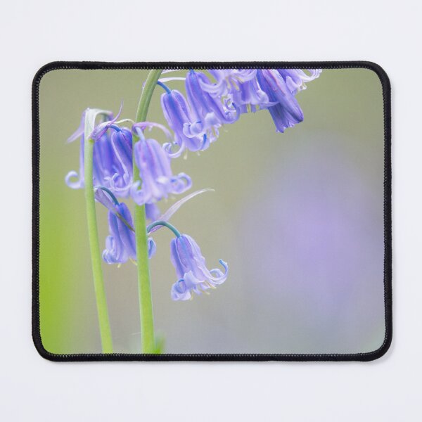 Item preview, Digital photograph of  bluebell flower designed and sold by SimonJohnson1.