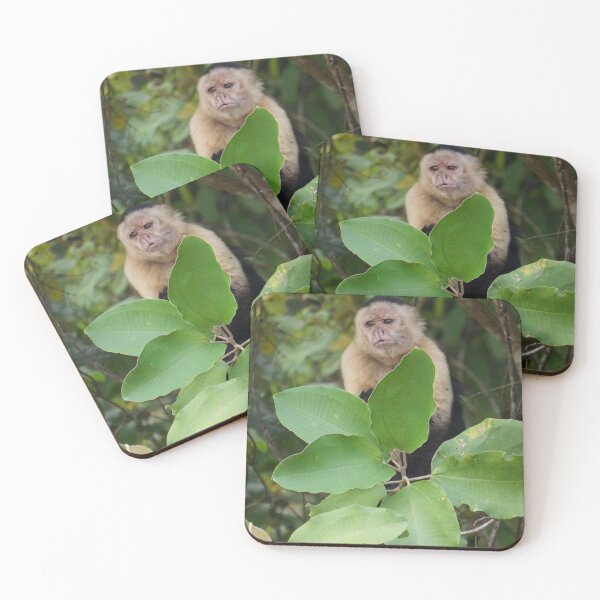 Item preview, Capuchin Monkey on a limb from Panama designed and sold by Easley-Does-It.