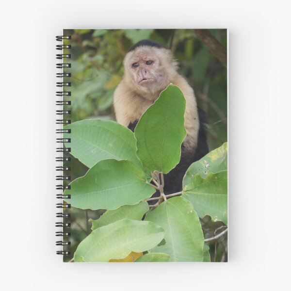 Item preview, Capuchin Monkey on a limb from Panama designed and sold by Easley-Does-It.