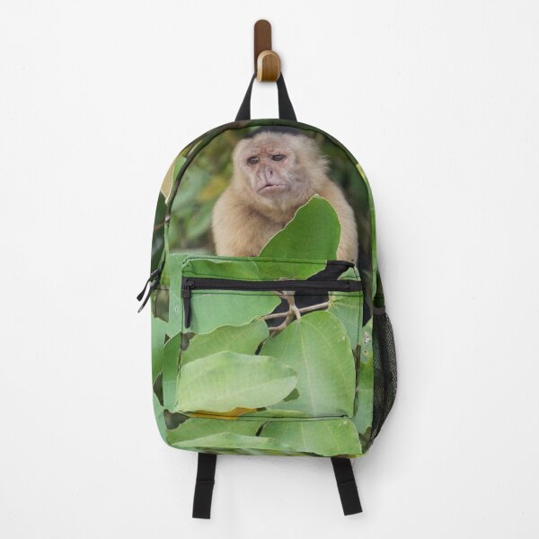 Item preview, Capuchin Monkey on a limb from Panama designed and sold by Easley-Does-It.