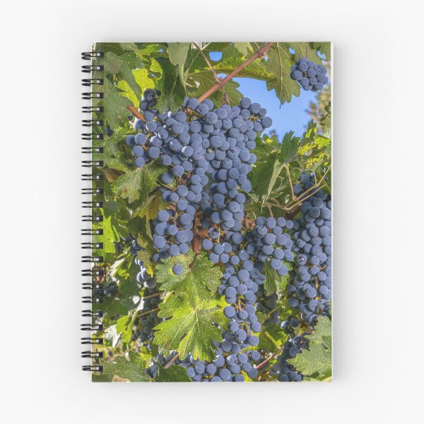 Item preview, Cabernet Sauvignon Bounty designed and sold by Betty Sederquist.