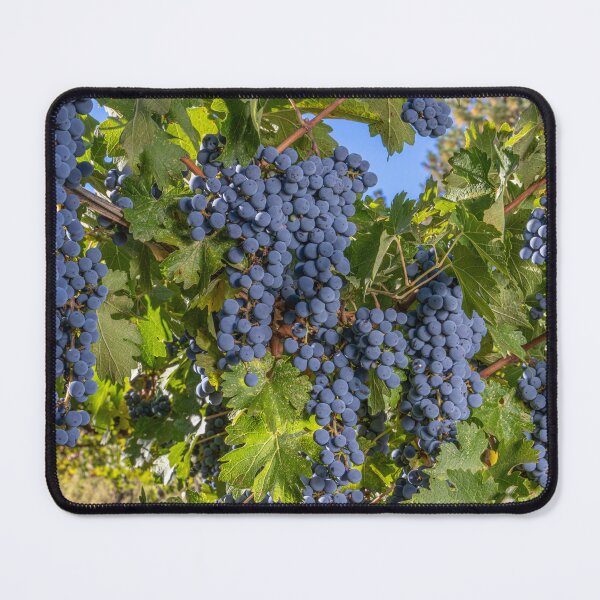 Item preview, Cabernet Sauvignon Bounty designed and sold by Betty Sederquist.