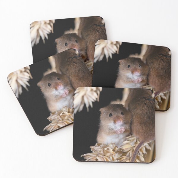 Item preview, Harvest Mice wash whiskers on a corn stalk designed and sold by RedGrouse.