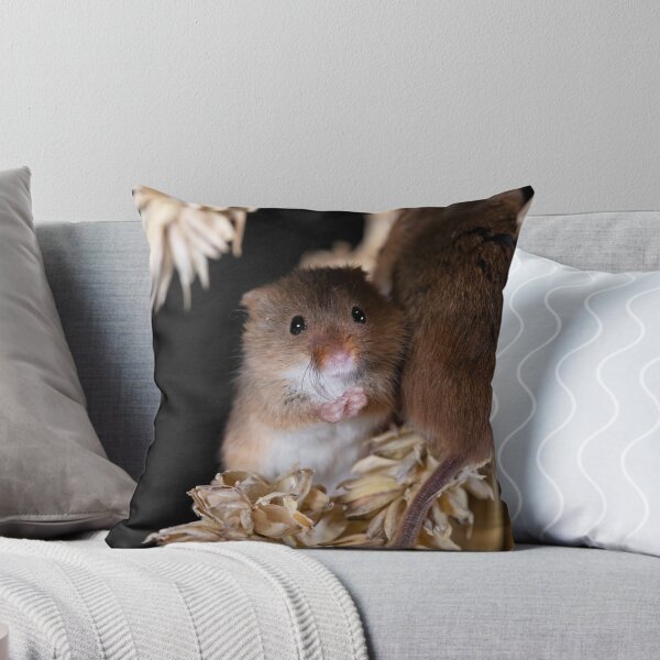 Item preview, Harvest Mice wash whiskers on a corn stalk designed and sold by RedGrouse.