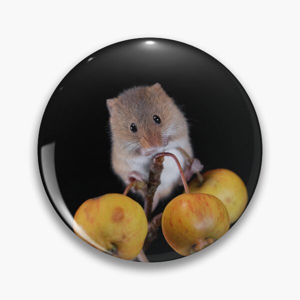 Item preview, Harvest Mouse on a Crab Apple branch designed and sold by RedGrouse.