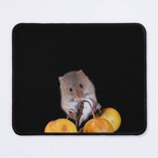 Item preview, Harvest Mouse on a Crab Apple branch designed and sold by RedGrouse.