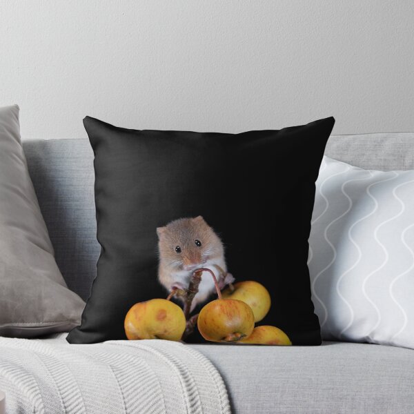 Item preview, Harvest Mouse on a Crab Apple branch designed and sold by RedGrouse.