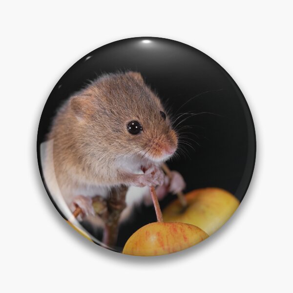 Item preview, Harvest Mouse on a Crab Apple branch designed and sold by RedGrouse.