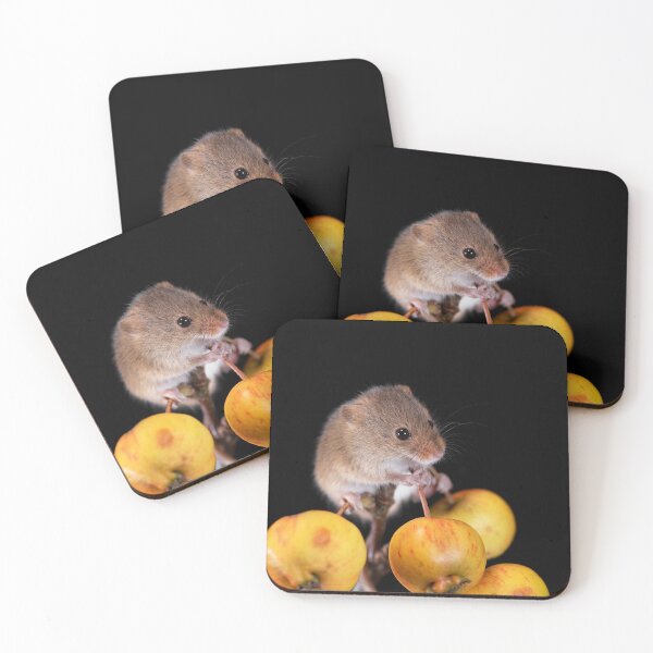 Item preview, Harvest Mouse on a Crab Apple branch designed and sold by RedGrouse.