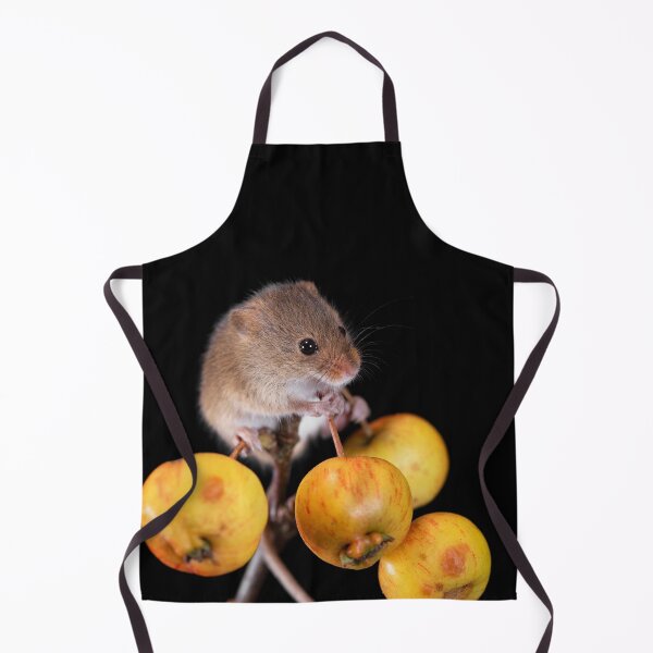 Item preview, Harvest Mouse on a Crab Apple branch designed and sold by RedGrouse.