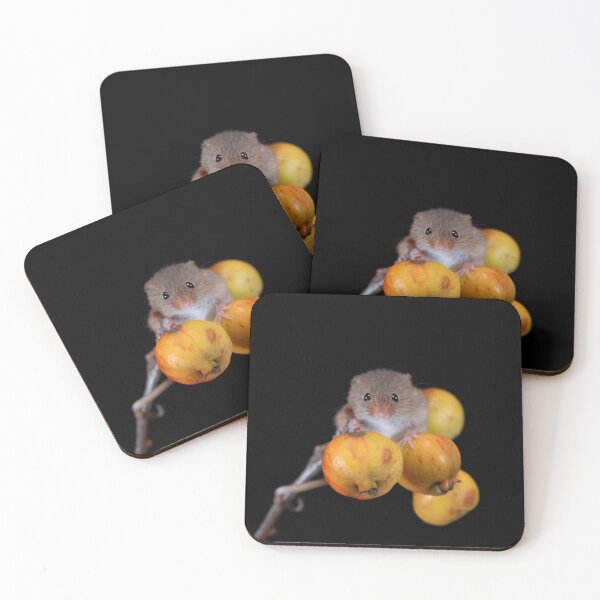 Item preview, Harvest Mouse on a Crab Apple branch designed and sold by RedGrouse.