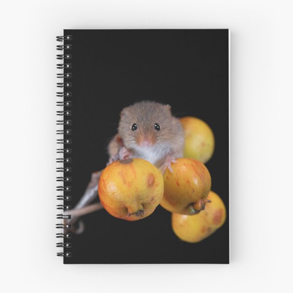 Item preview, Harvest Mouse on a Crab Apple branch designed and sold by RedGrouse.