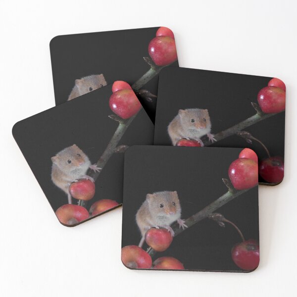Item preview, Harvest Mouse on a Crab Apple branch designed and sold by RedGrouse.